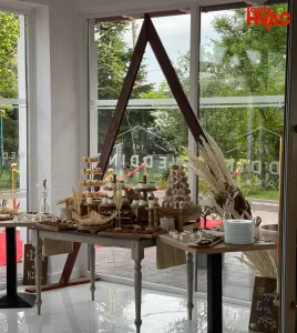 Hanul Andritei Mitsubishi Electric Zubadan